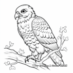 Birds of Prey: Hawk Coloring Pages 2