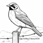 Black and White Outline Western Meadowlark Coloring Sheets 1