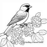 Black Capped Chickadee Among Berries Coloring Pages 1