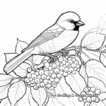 Black Capped Chickadee Among Berries Coloring Pages 3