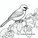Black Capped Chickadee Among Berries Coloring Pages 4