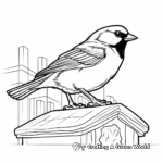 Black Capped Chickadee and Bird Feeder Coloring Pages 1