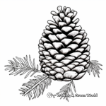 Black Capped Chickadee and Pine Cones Coloring Pages 3