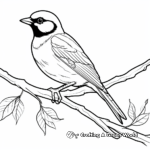 Black Capped Chickadee perched on a Branch Coloring Pages 3