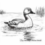 Black-Throated Loon Coloring Sheets for Kids 1