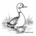 Black-Throated Loon Coloring Sheets for Kids 2