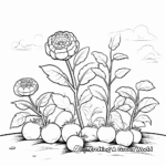 Blackberry Plant Life Cycle Coloring Sheets 1