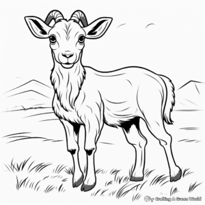 Blank Animal Coloring Pages for Kids 3