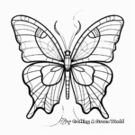 Blue Morpho Butterfly Coloring Pages with Interactive Learning Elements 1