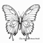 Blue Morpho Butterfly Coloring Pages with Interactive Learning Elements 3