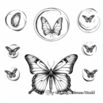 Blue Morpho Butterfly Life Cycle Coloring Sheets 1