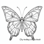 Blue Morpho Butterfly Symmetry Coloring Pages 1