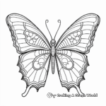 Blue Morpho Butterfly Symmetry Coloring Pages 3