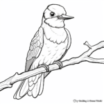 Blue-Throated Hummingbird: Realistic Coloring Sheets 1