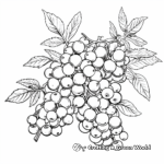 Blueberry Bush Coloring Pages for Kids 1