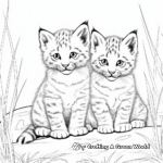 Bobcat Cubs in Nature Coloring Sheets for Kids 3