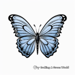 Bold and Bright Blue Morpho Butterfly Coloring Pages 3