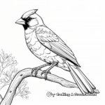 Bold Red Cardinal Coloring Pages 1