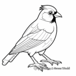Bold Red Cardinal Coloring Pages 2