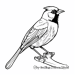 Bold Red Cardinal Coloring Pages 3
