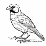 Bold Red Cardinal Coloring Pages 4
