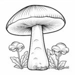 Boletus Mushroom Coloring Pages for Kids 3