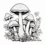 Botanical-Style Organic Mushroom Coloring Pages 3