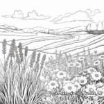 Breathtaking Lavender Fields Coloring Pages 1