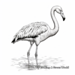 Bright and Beautiful Flamingo Coloring Pages 4