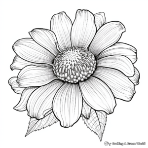 Bright Coneflower Coloring Pages for Kids 1