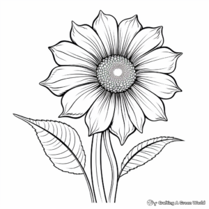Bright Coneflower Coloring Pages for Kids 2