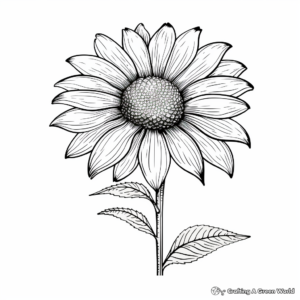 Bright Coneflower Coloring Pages for Kids 3