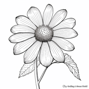Bright Coneflower Coloring Pages for Kids 4