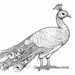 Bronze-Tailed Peacock Pheasant: Stunning Coloring Pages 2