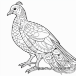 Bronze-Tailed Peacock Pheasant: Stunning Coloring Pages 3