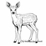 Browning Buck and Doe in the Winter Coloring Pages 1
