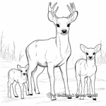 Browning Buck and Doe in the Winter Coloring Pages 2