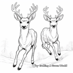 Bucks in Action: Jumping Deer Coloring Pages 2