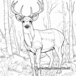 Bucks in the Wild: Forest-Scene Coloring Pages 1
