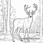 Bucks in the Wild: Forest-Scene Coloring Pages 2