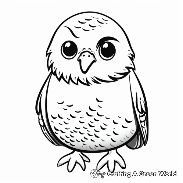 Budgie Coloring Pages - Free &amp; Printable!