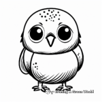 Budgie Chick Coloring Pages for Kids 4