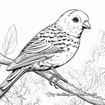 Budgie in the Wild: Jungle-Scene Coloring Pages 2