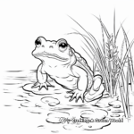 Bullfrog in a Swamp Coloring Pages 2