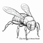Bumblebee Anatomy Detailed Coloring Pages 3