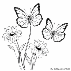 Butterflies and Summer Flowers Coloring Pages 4
