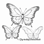 Butterfly Family Coloring Pages: Male, Female, and Butterfly Life Stages 2