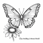 Butterfly Hovering over a Aster Flower Coloring Pages 2