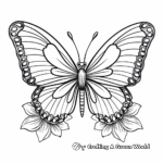 Butterfly Hovering over a Aster Flower Coloring Pages 3