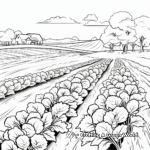 Cabbage Field: Farm-Scene Coloring Pages 1